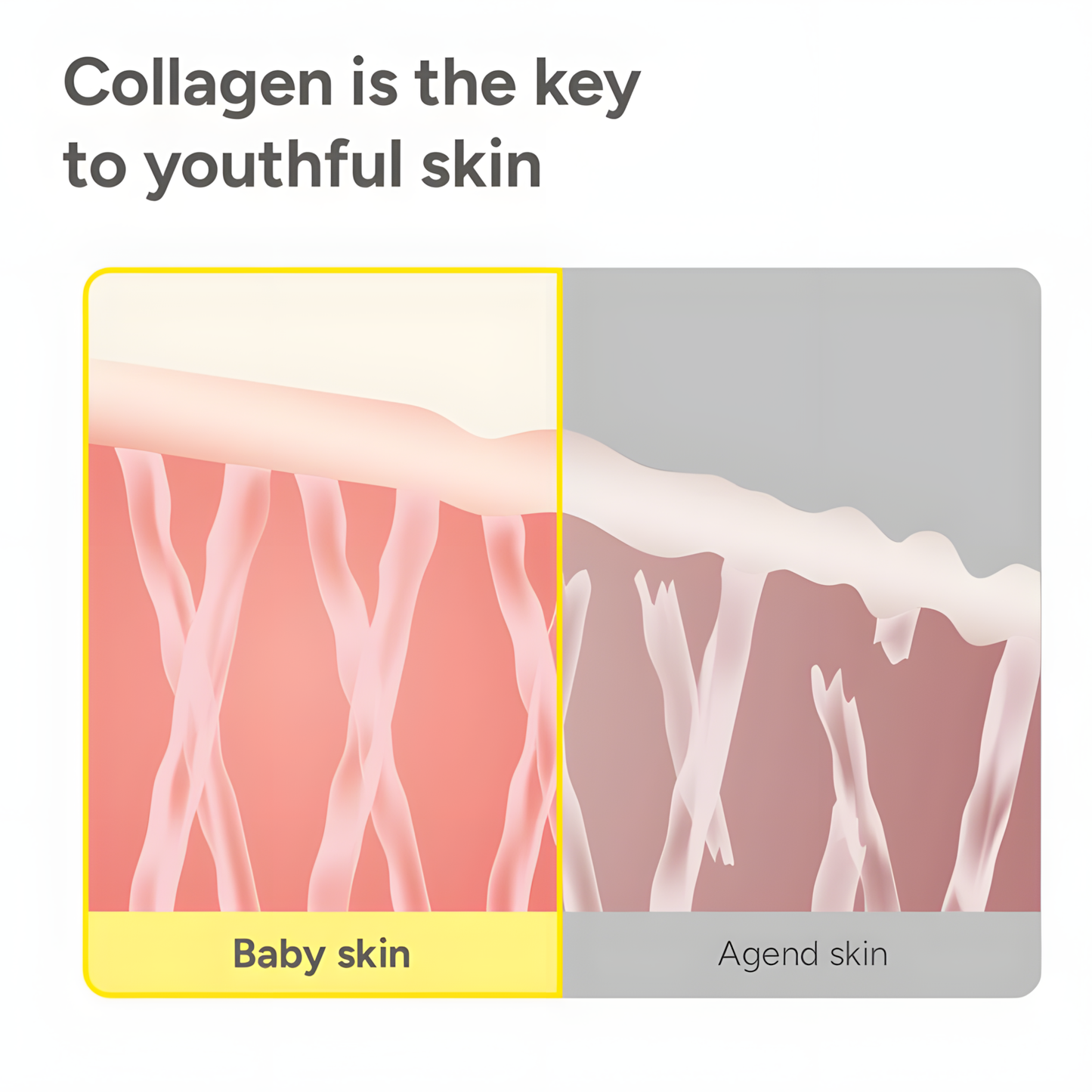Deep Collagen Rejuvenation Serum | FILLER-LIKE EFFECT